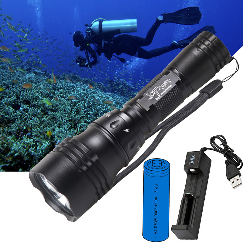 Lámpara de Buceo Portátil de 1 - Fish Finder Charger reseña y precio